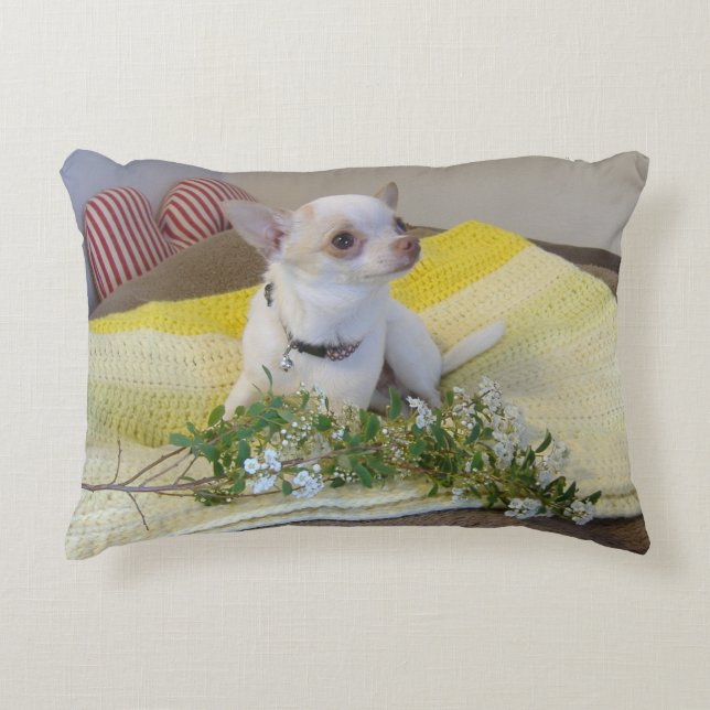 Flower Chihuahua Accent Pillow (Front)