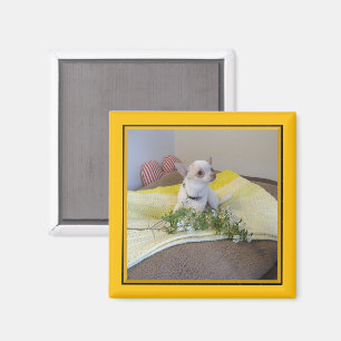 Flower Chihuahua Magnet