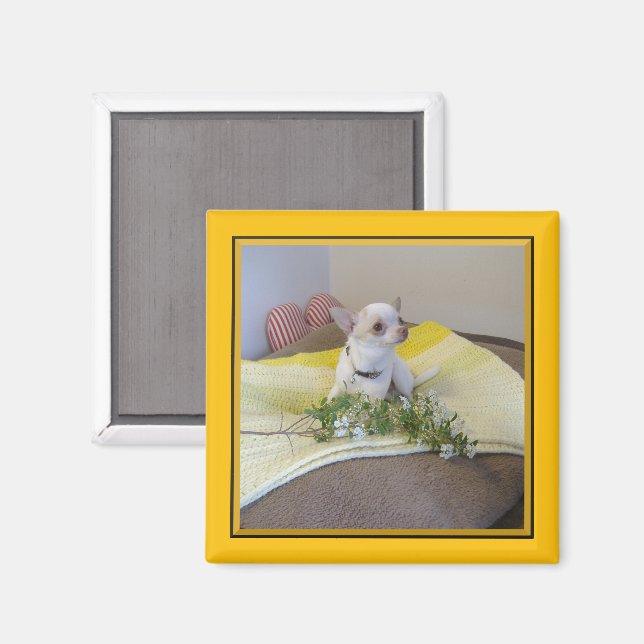 Flower Chihuahua Magnet (Front/Back)