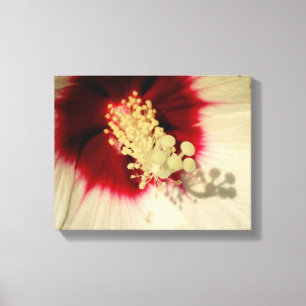 Flower Close Up Photo Single Art Poster Canvas Print