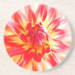 Flower Coaster
