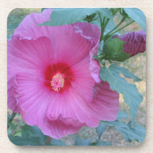 Flower Coaster