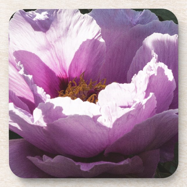 flower coaster (Front)
