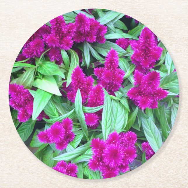 Flower Coaster Set (Front)