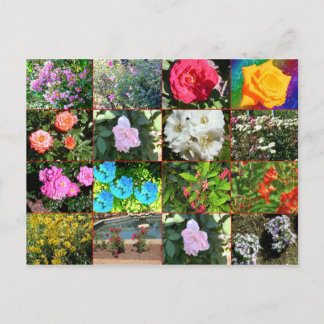 Flower Collage Postcard