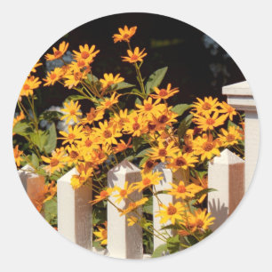 Flower - Coreopsis - The warmth of Summer Classic Round Sticker