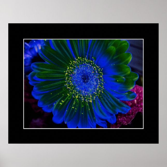 Flower Dahlia Blue Abstract Poster (Front)