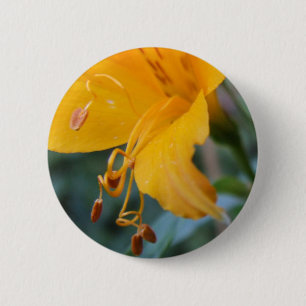 Flower Details Button