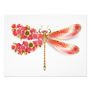Flower dragonfly with jewellery sakura photo print