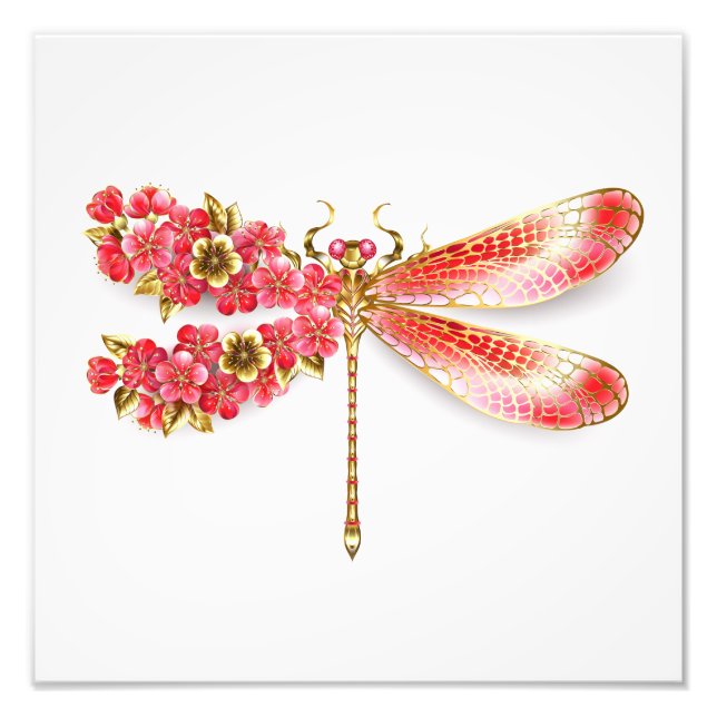 Flower dragonfly with jewellery sakura photo print (Front)