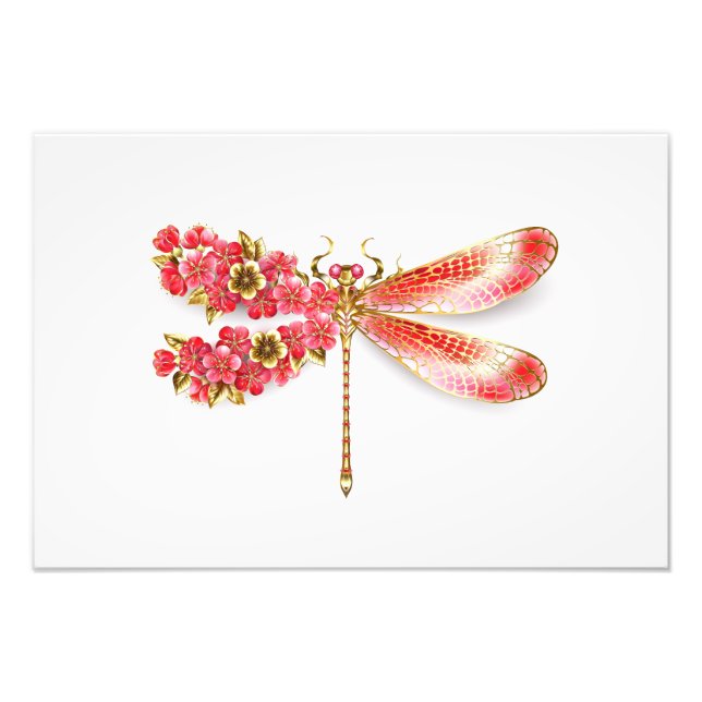 Flower dragonfly with jewellery sakura photo print (Front)