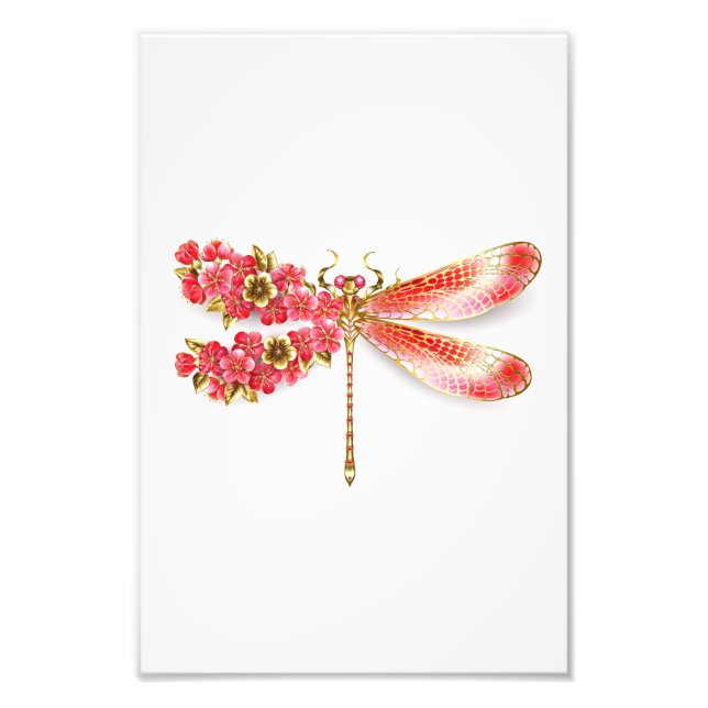 Flower dragonfly with jewellery sakura photo print (Front)