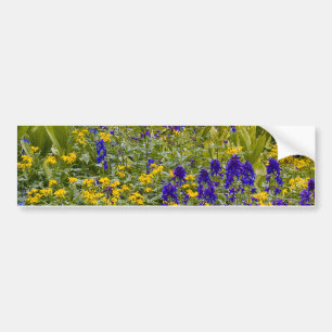 Flower Field Bumper Sticker