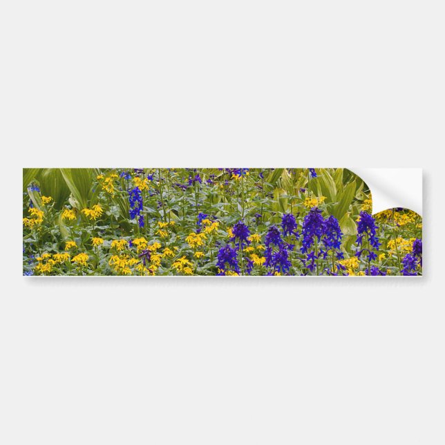 Flower Field Bumper Sticker (Front)