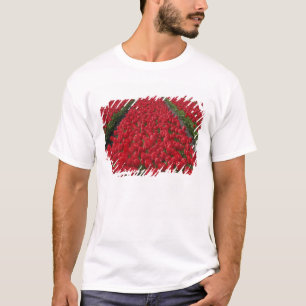 Flower field of tulips, Netherlands, Holland T-Shirt