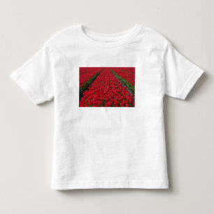 Flower field of tulips, Netherlands, Holland Toddler T-Shirt
