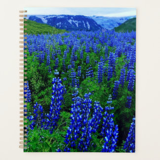 Flower Field Planner