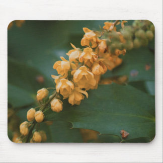 Flower floral mouse mat