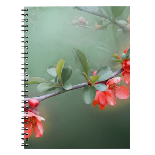 Flower flowers quince bush spring notebook (Front)