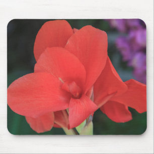 Flower found in the gardens of the D. Carlos I Mouse Pad