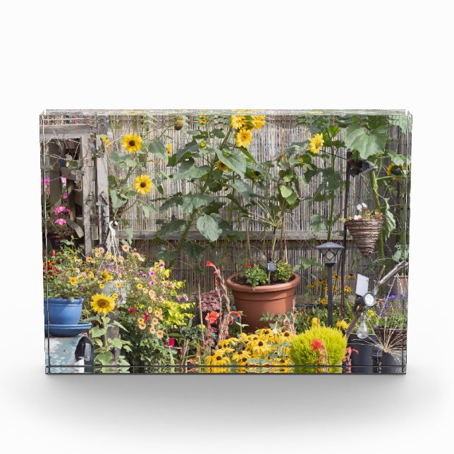 Flower garden and narrow boat photo block (Front)