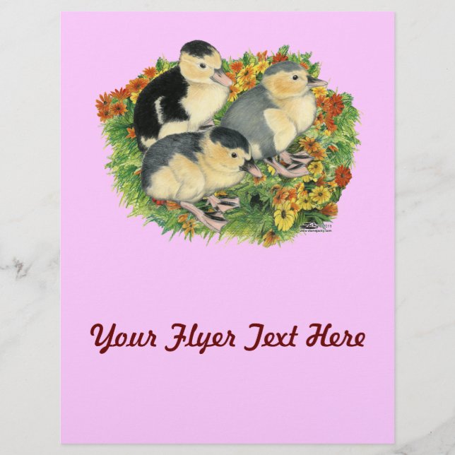 Flower Garden Ducklings Flyer (Front)