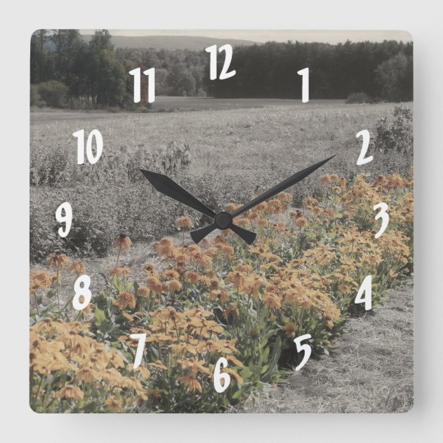 Flower Garden In Vintage Black And White Square Wall Clock (Front)