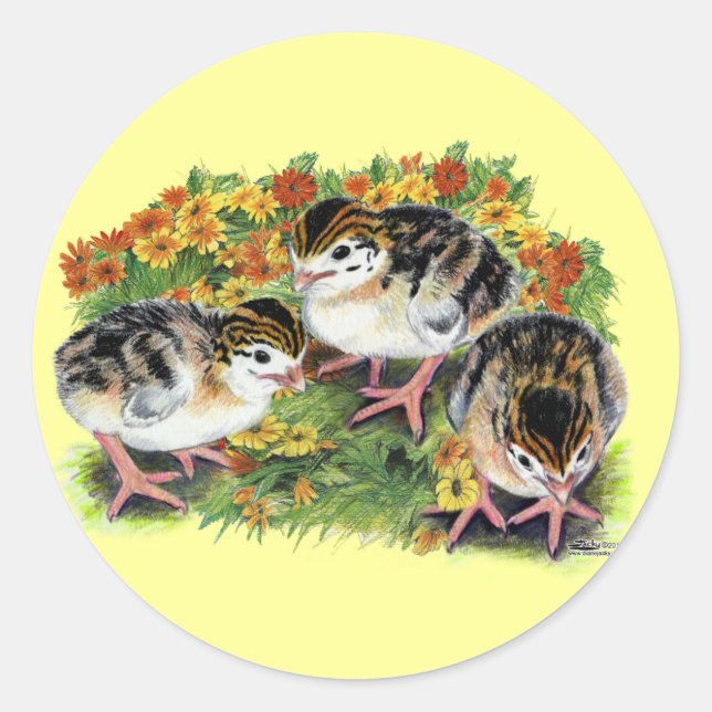 Flower Garden Keets Classic Round Sticker (Front)