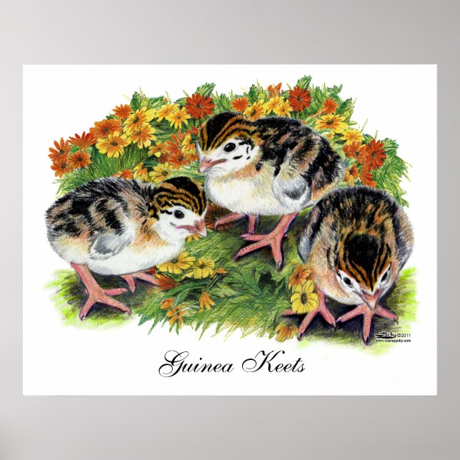 Flower Garden Keets Poster (Front)