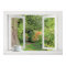 Flower Garden - Open Window with Pretty View