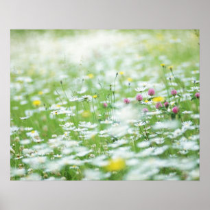 Flower garden poster