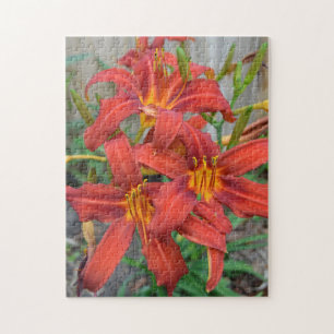 Flower Garden Red Daylillies Green Leaves Photo Jigsaw Puzzle