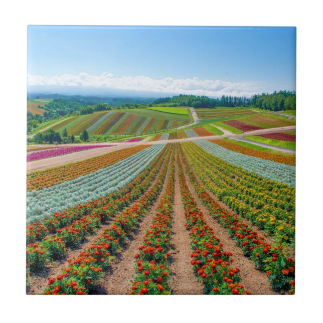 Flower Garden | Shikisai No Oka Flower Farm Ceramic Tile (Front)