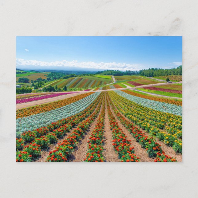 Flower Garden | Shikisai No Oka Flower Farm Postcard (Front)
