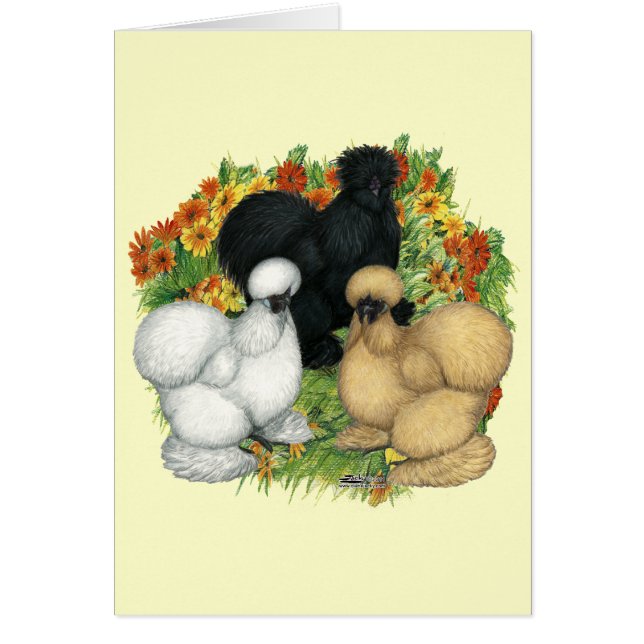Flower Garden Silkies (Front)