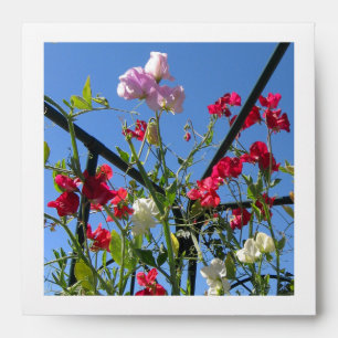 Flower Garden Square DVD Envelope