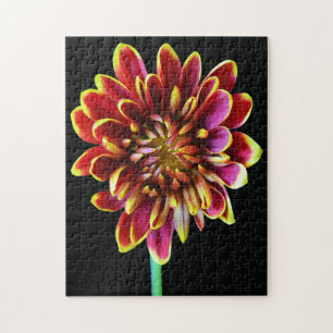 Flower Garden Summer Dahlia Bouquet Jigsaw Puzzle