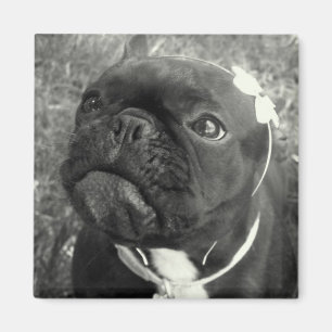 Flower Girl Magnet