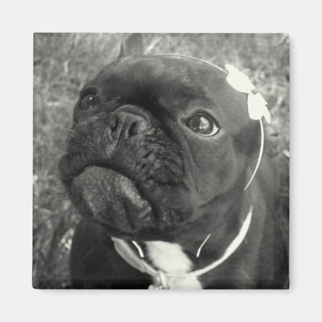 Flower Girl Magnet (Front)