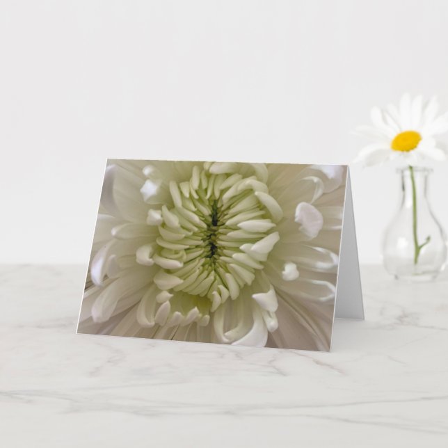 Flower Greeting Card (Small Plant)