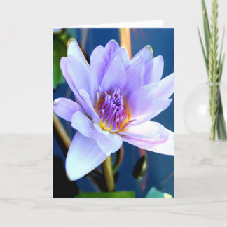 Flower greeting card