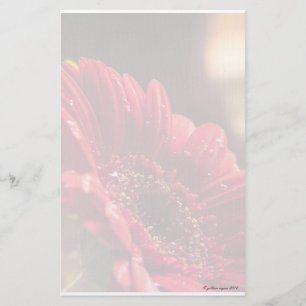 Flower I Stationery