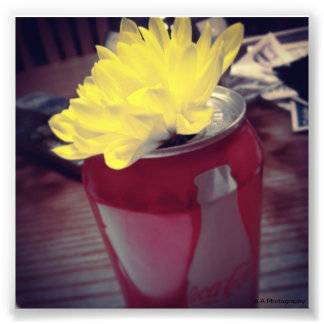 Flower in Can Photo Print