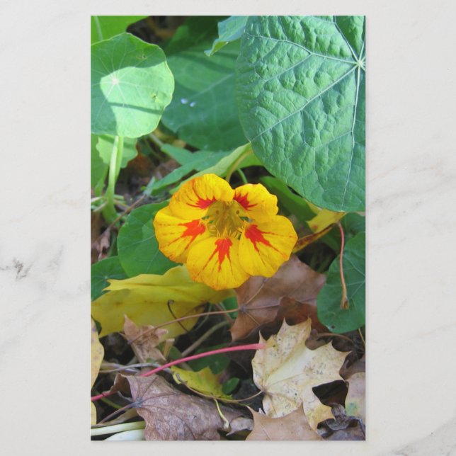 Flower in Leaves Stationery (Front)