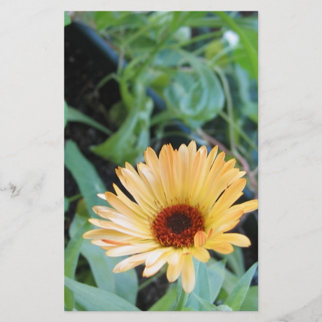 Flower in Leaves Two Stationery (Front)
