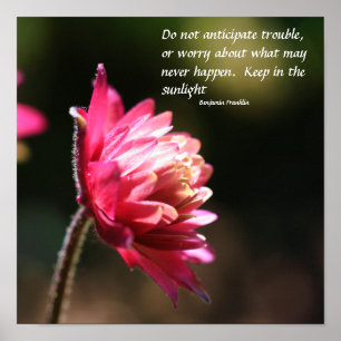 Flower In Sun Inner Peace Quote Inspirational Poster