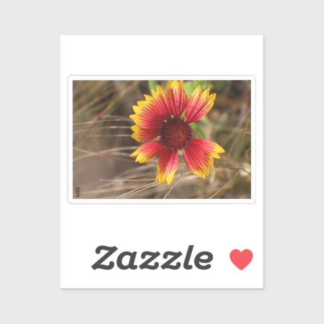 Flower in the Wind (Sheet)