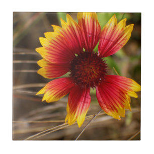 Flower in the Wind Ceramic Tile