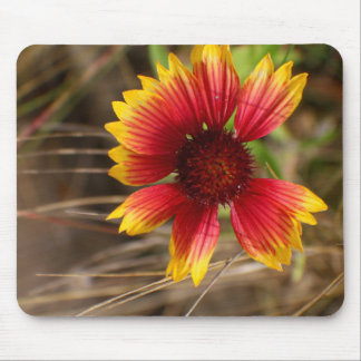 Flower in the Wind Mouse Pad