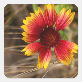 Flower in the Wind Square Sticker